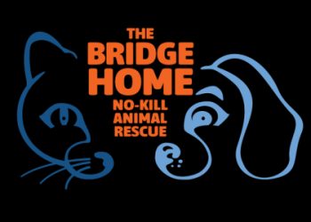 animal no kill shelters near me