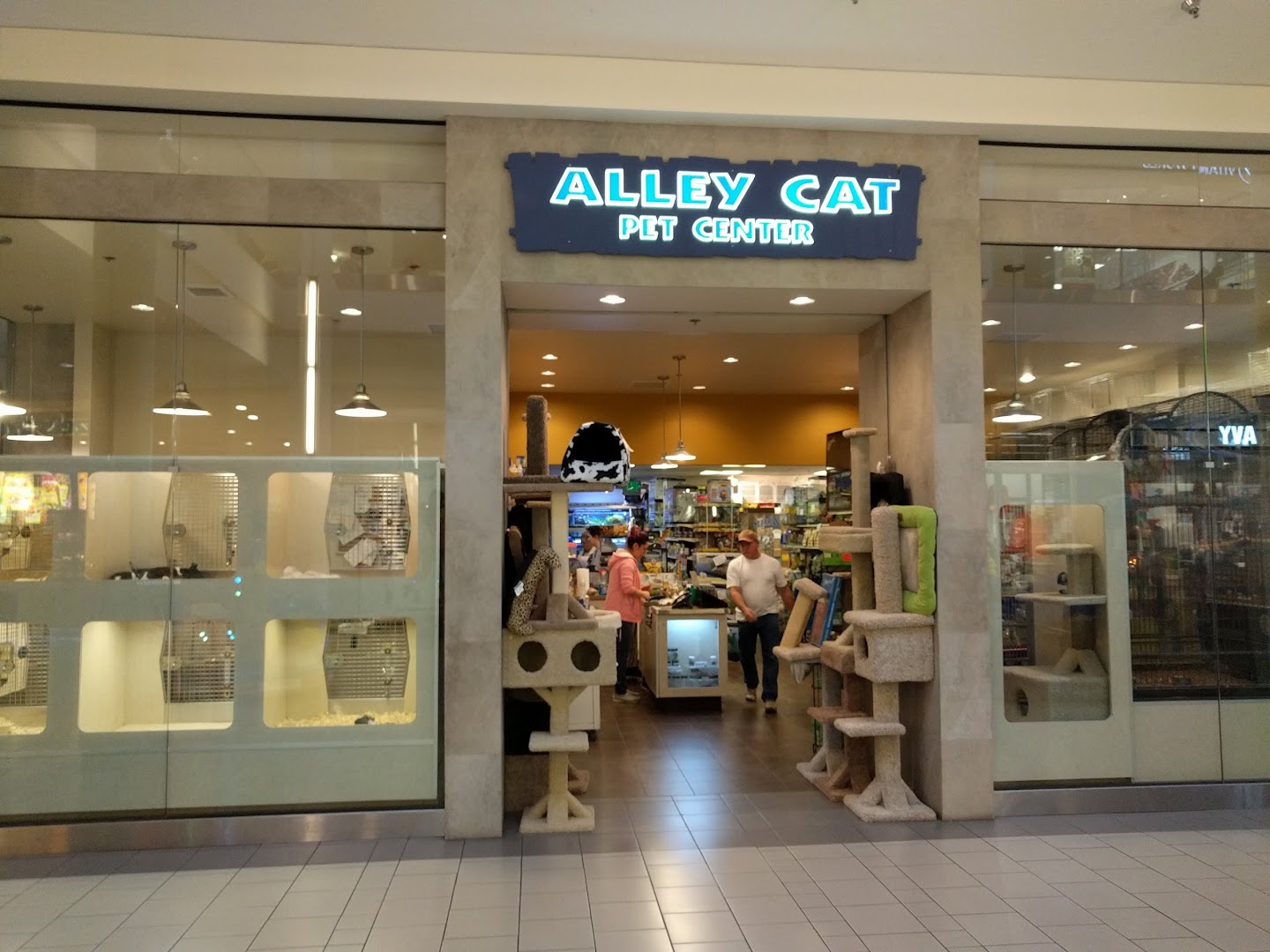 alley cat pet store