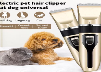 alley cat and dog grooming