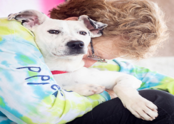 adoption puppies for sale near me