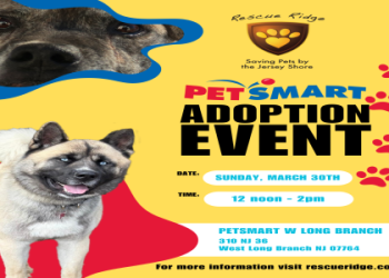 petsmart dog adoption