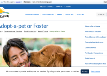 gordon county animal control