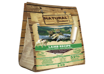 best dog food for puppies small breed