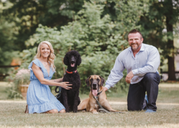 great dane rescue michigan