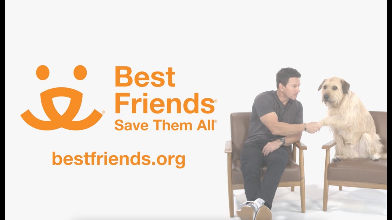 best friends save them all