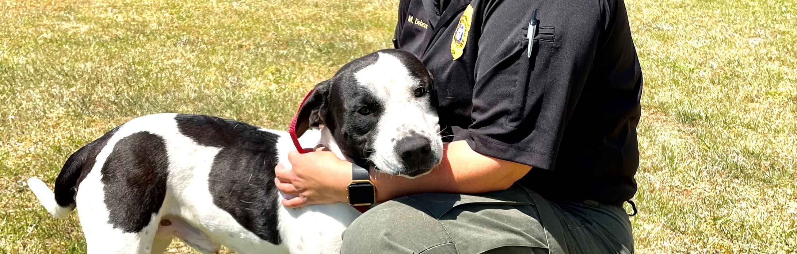 lowndes county animal shelter photos