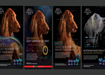 dog print advertisements