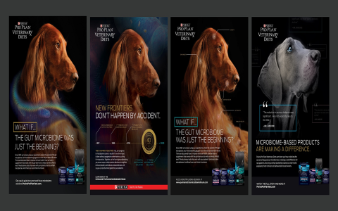 dog print advertisements