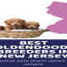goldendoodle breeders nj