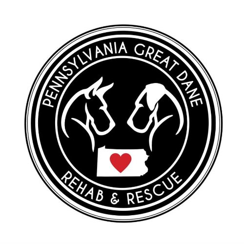 great dane rescue pa