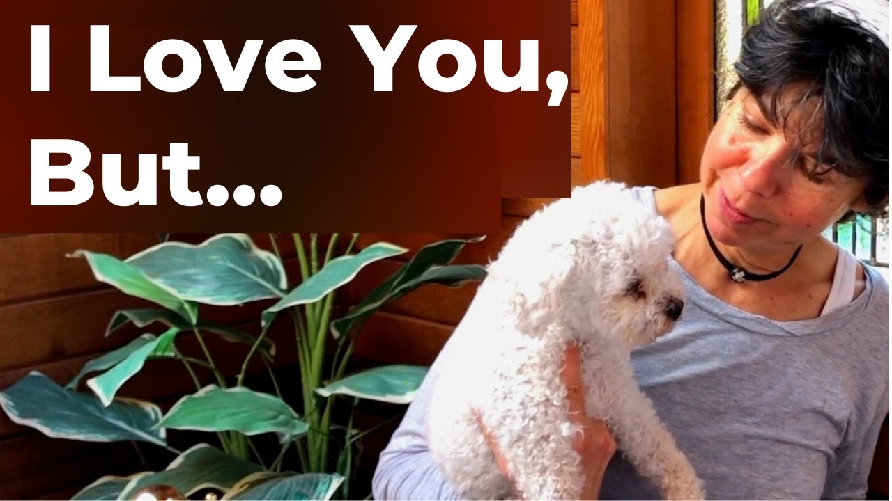 how to give your dog away