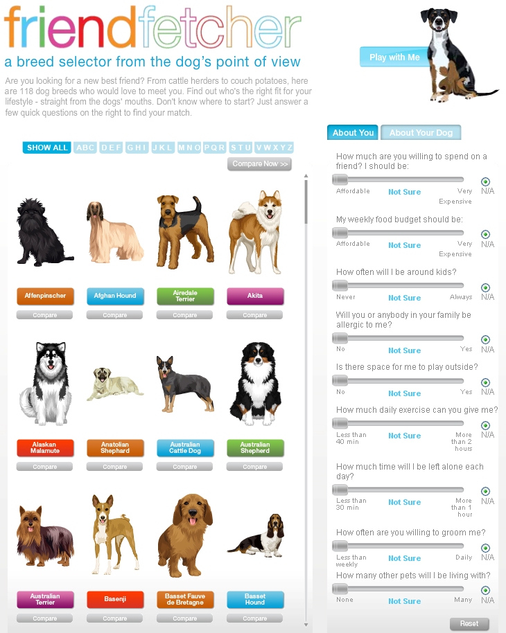 dog finder quiz