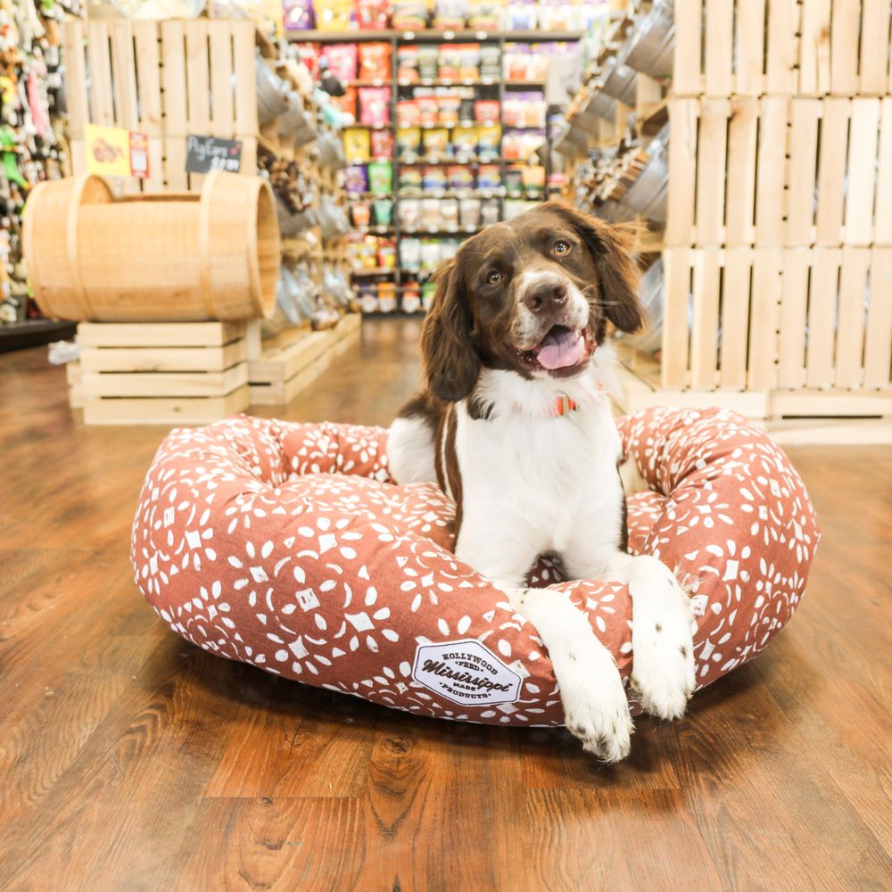 dog shelters near me within 20 mi