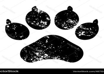 picture of a dog paw print