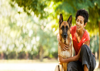 petfinder binghamton