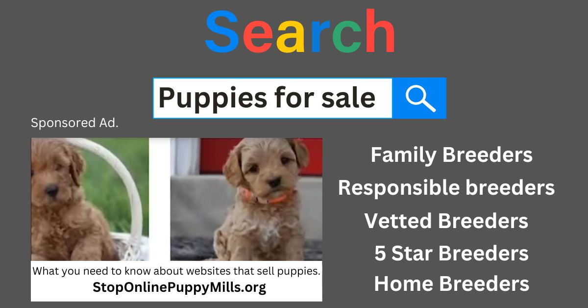 puppy sale website
