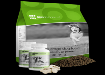 best dog food for chihuahua at walmart