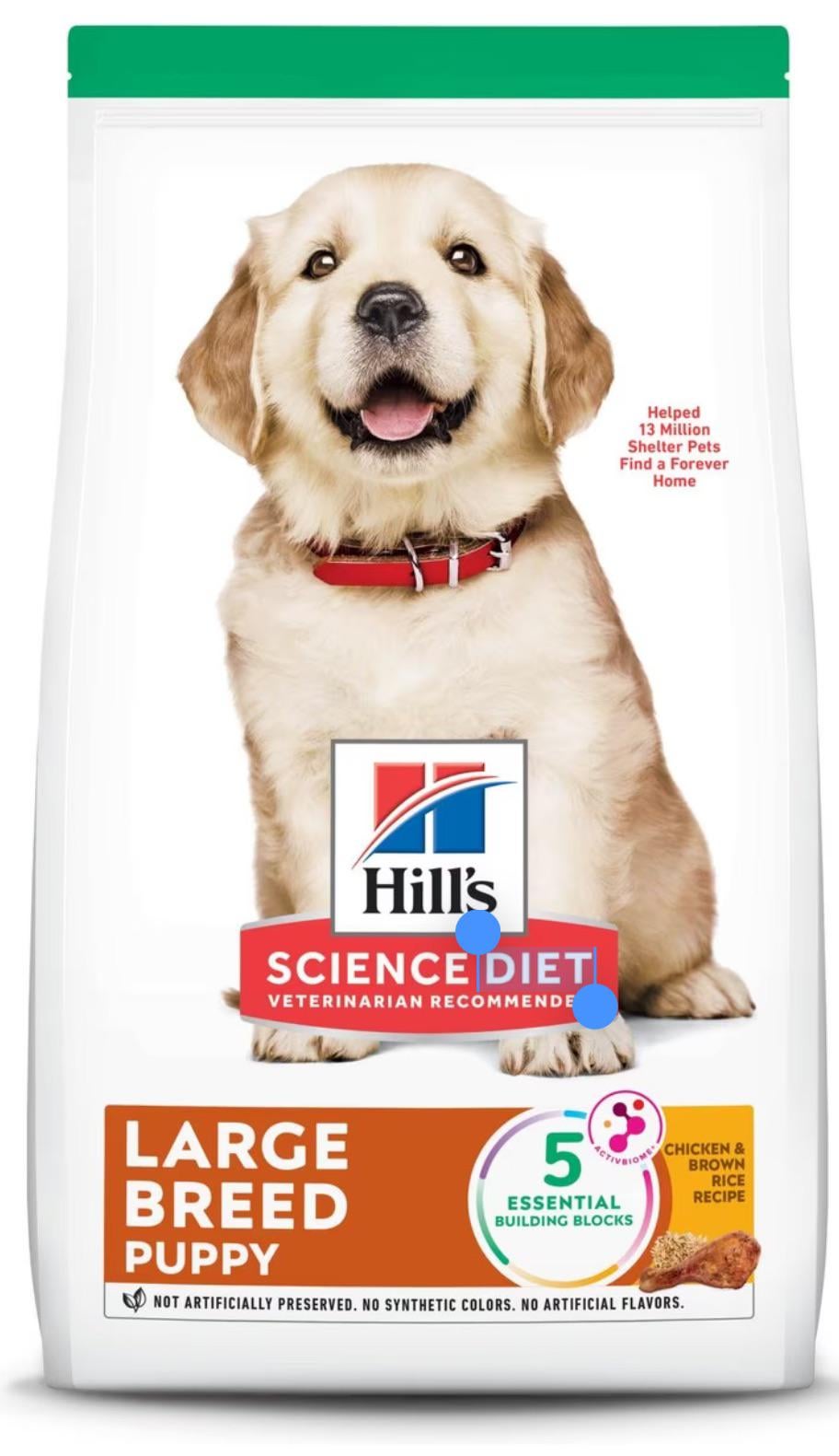 best dog food for bernedoodle