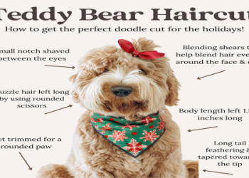 goldendoodle tail styles