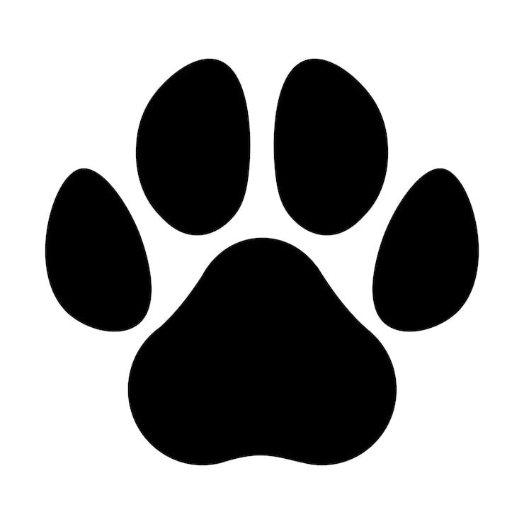 picture of dog paw print
