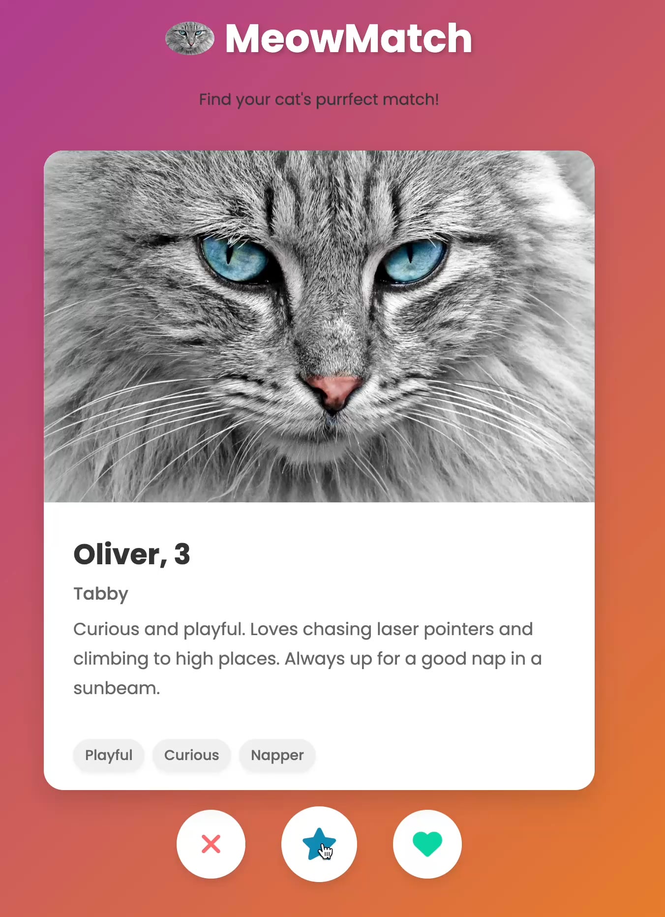 tinder cat
