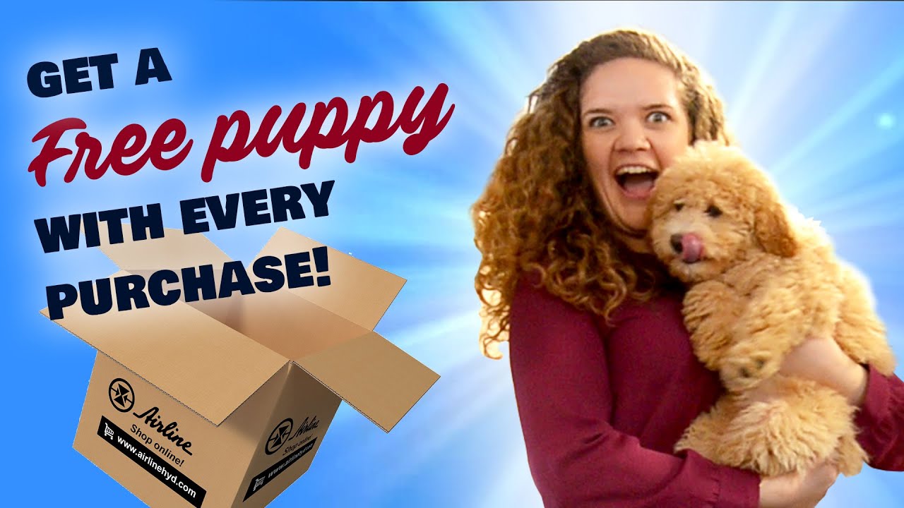 how to get a free puppy