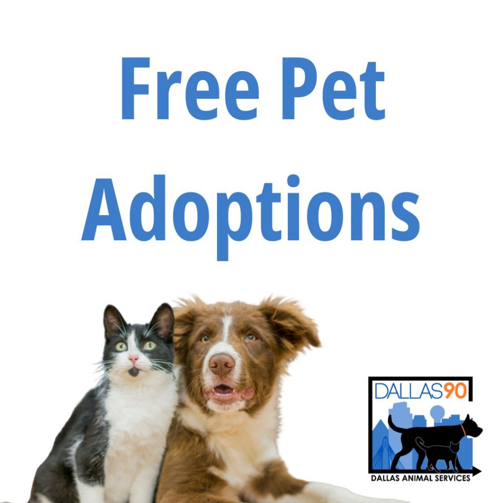 animal shelter ner me