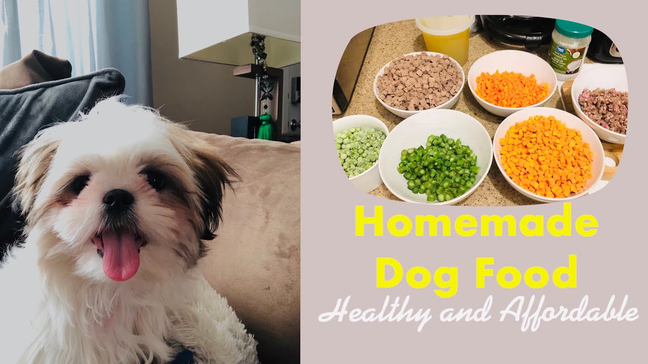 best shih tzu puppy food