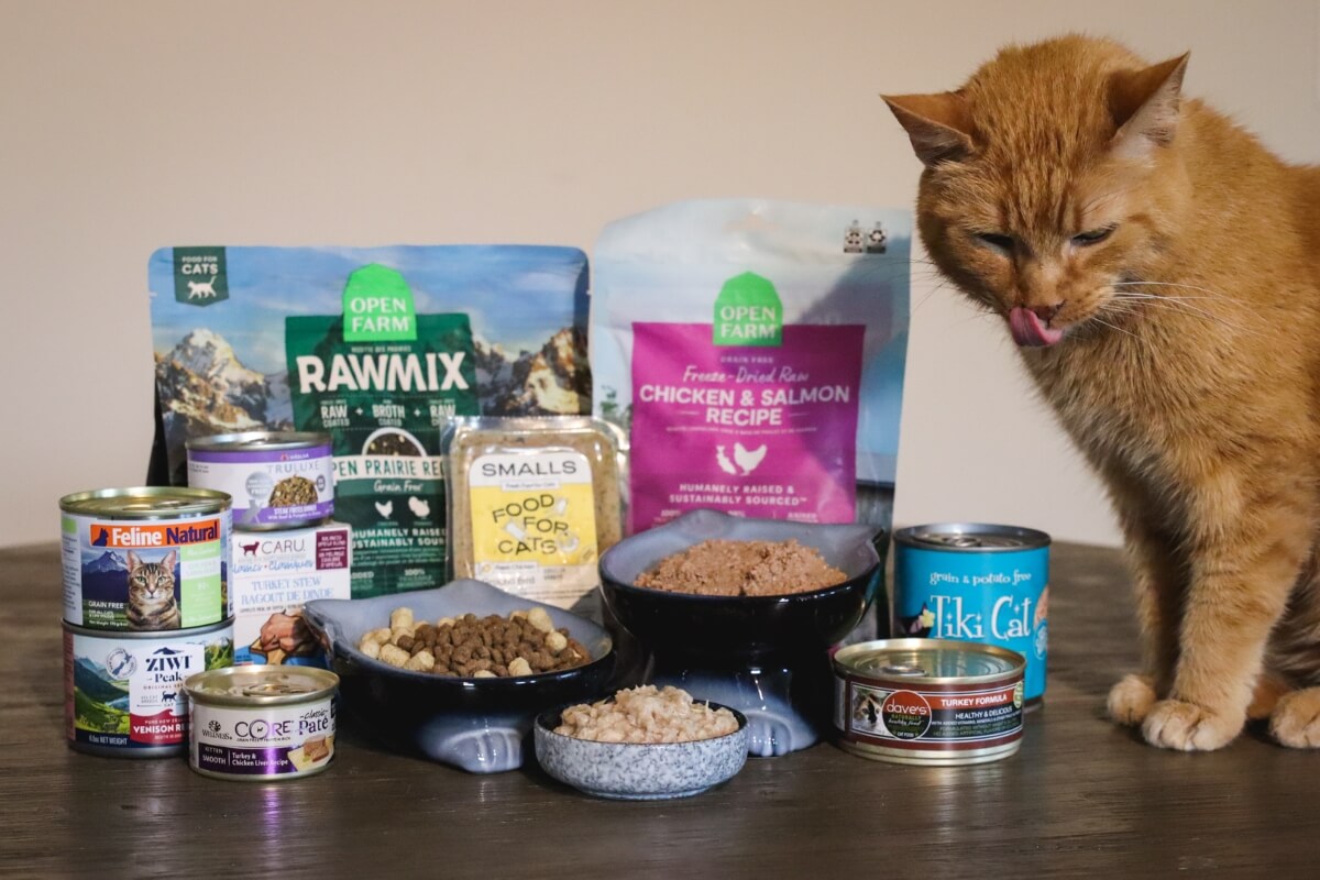 best cat food for young cats