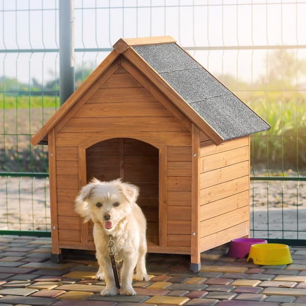 dog home