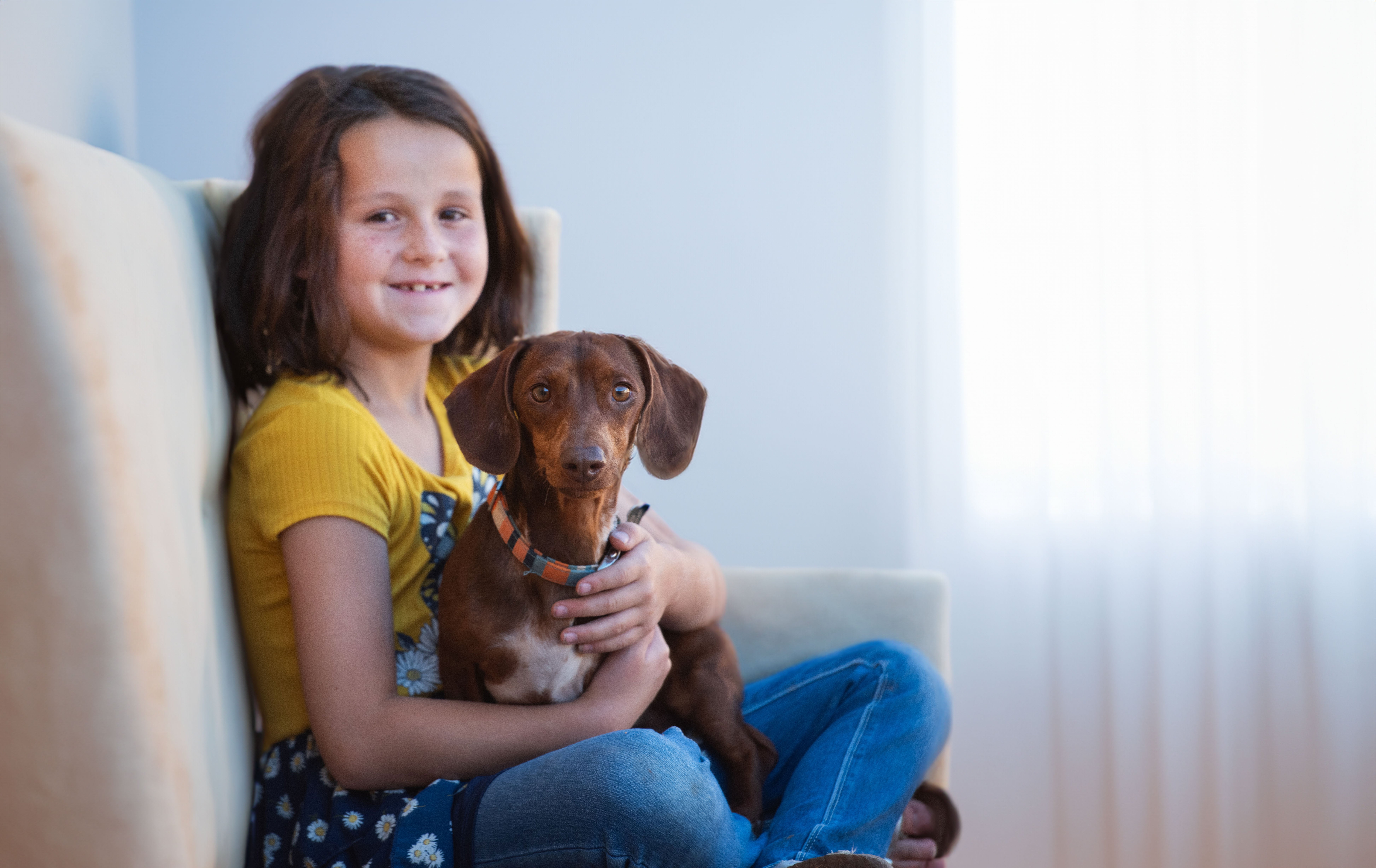 bestfriends com give a dog a home