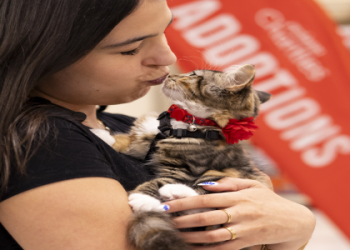 petsmart pet adoption