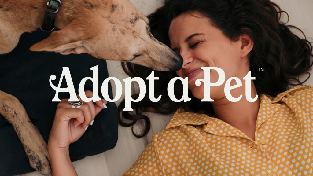 adopt a pet inc