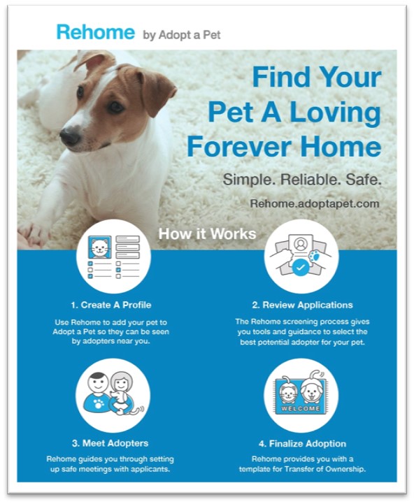 rehome adopt a pet com