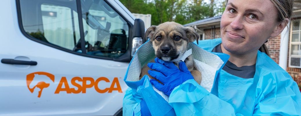 aspca relocation program