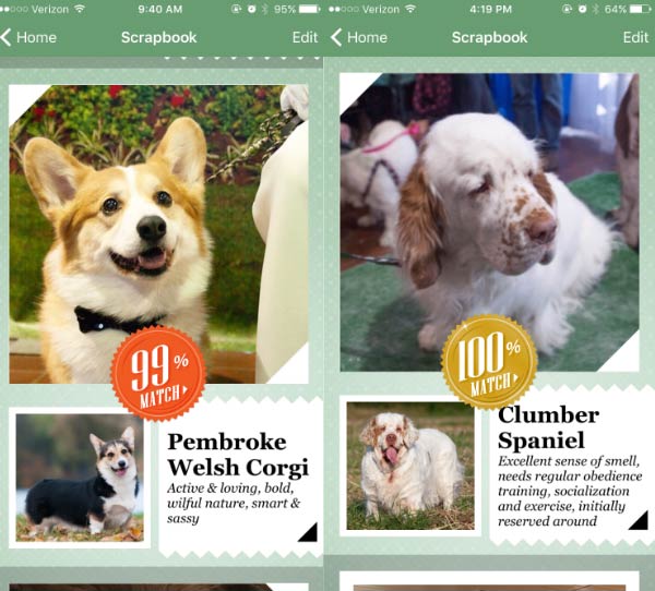 dog breed finder app