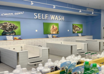 petco cat wash
