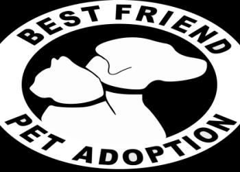 best friend shelter