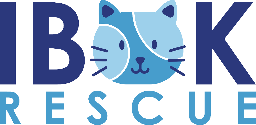 kitten rescue groups