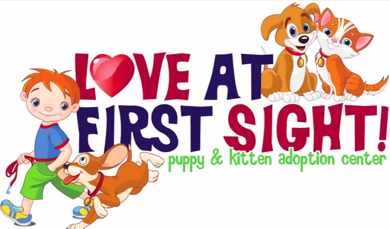 love at first sight puppy and kitten adoption center