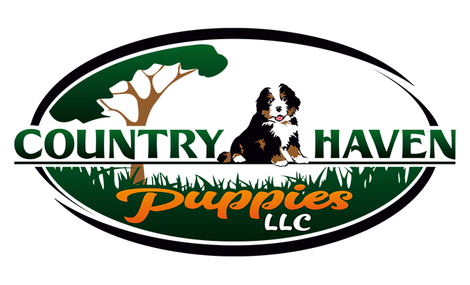 country haven puppies