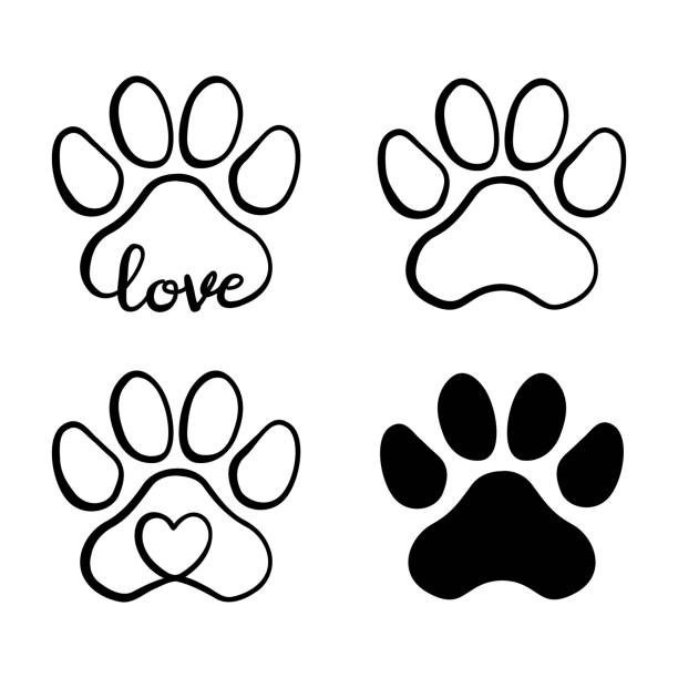 dog paw print images