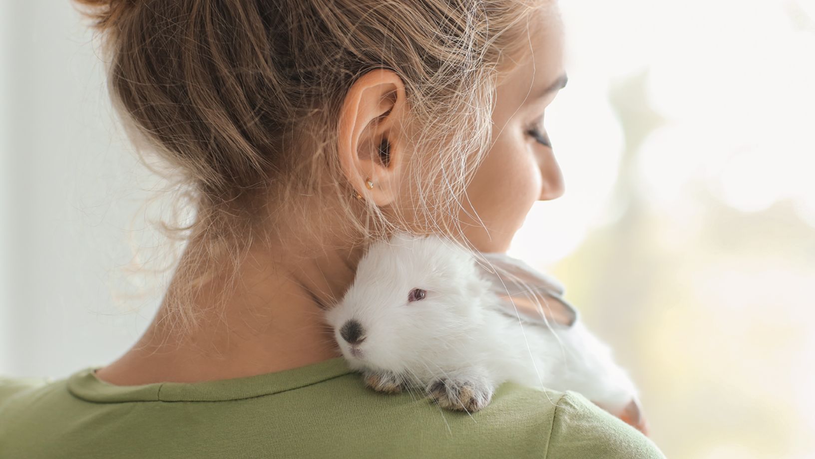 rabbit price petsmart