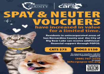 all about animals near me