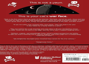 will my cat kill my new kitten