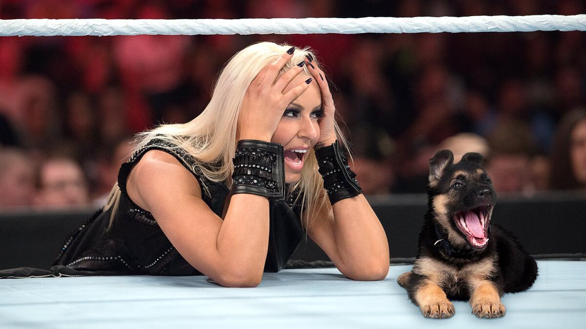 puppies wwe