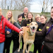dog adoption uk