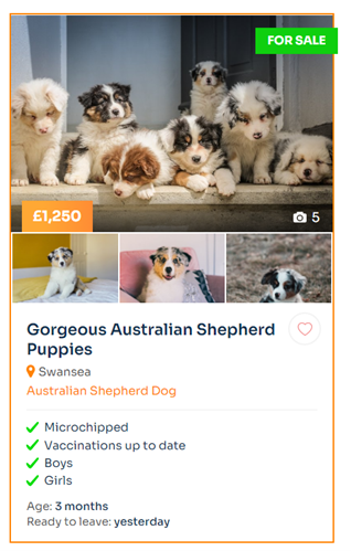 where can i sell puppies for free online