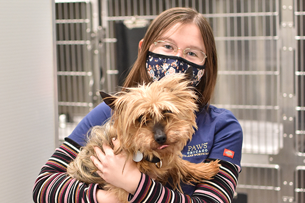 paws chicago foster