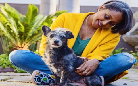 philadelphia shelter dogs